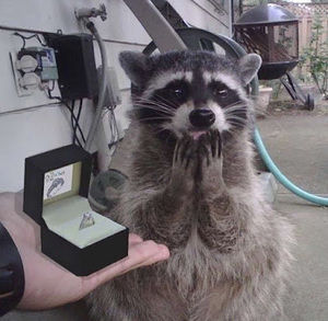 Meet your Posher, Jay